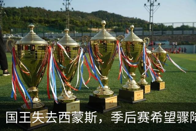 国王失去西蒙斯，季后赛希望骤降至5%